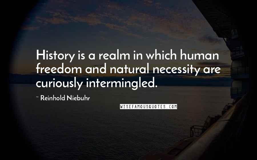 Reinhold Niebuhr Quotes: History is a realm in which human freedom and natural necessity are curiously intermingled.