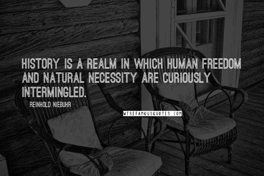 Reinhold Niebuhr Quotes: History is a realm in which human freedom and natural necessity are curiously intermingled.
