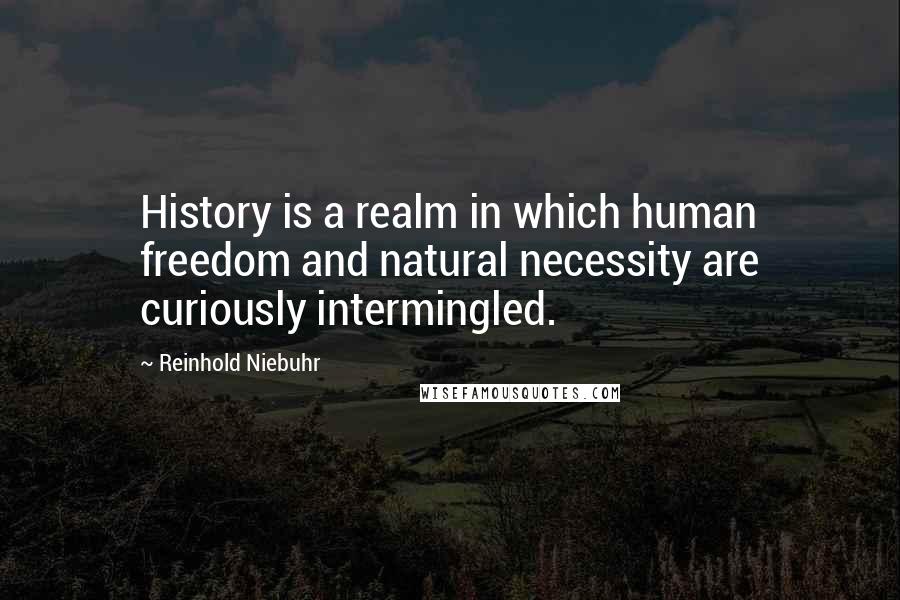 Reinhold Niebuhr Quotes: History is a realm in which human freedom and natural necessity are curiously intermingled.