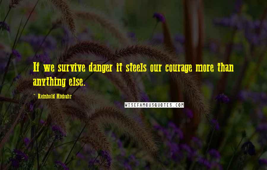 Reinhold Niebuhr Quotes: If we survive danger it steels our courage more than anything else.