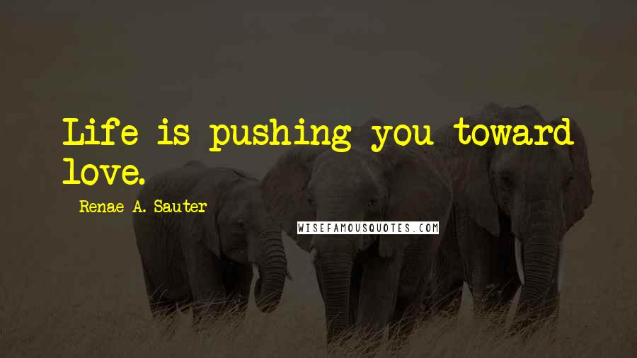 Renae A. Sauter Quotes: Life is pushing you toward love.