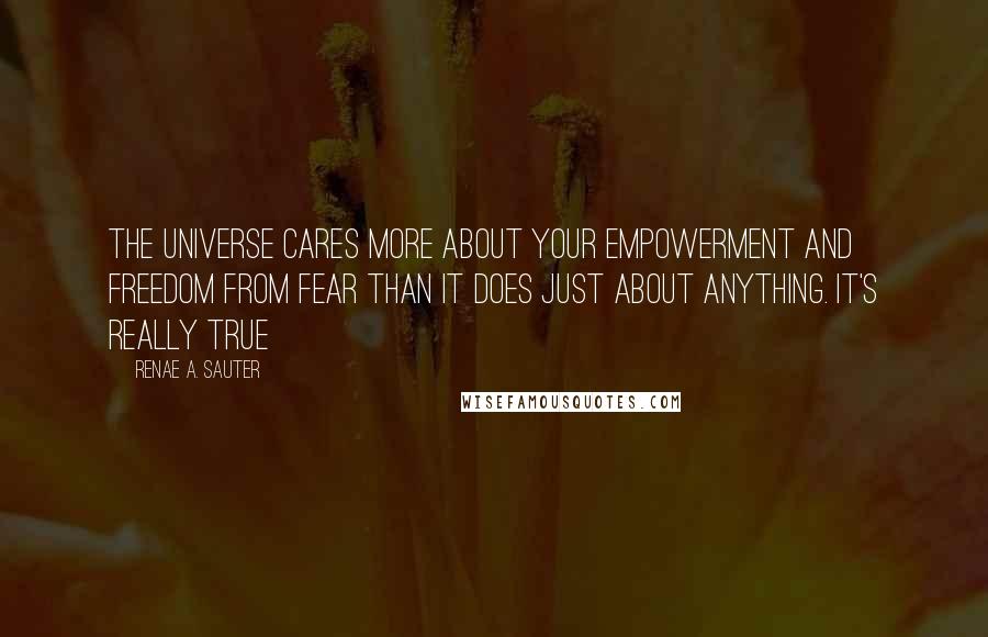 Renae A. Sauter Quotes: The Universe cares more about your empowerment and freedom from fear than it does just about anything. It's really true