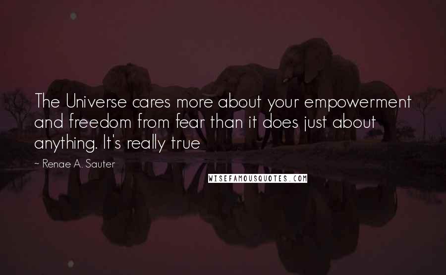 Renae A. Sauter Quotes: The Universe cares more about your empowerment and freedom from fear than it does just about anything. It's really true