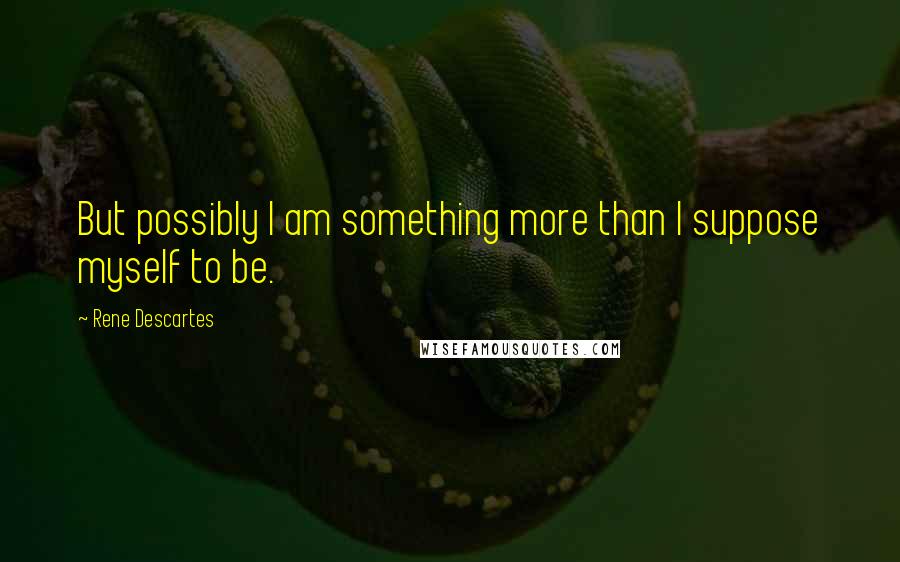 Rene Descartes Quotes: But possibly I am something more than I suppose myself to be.
