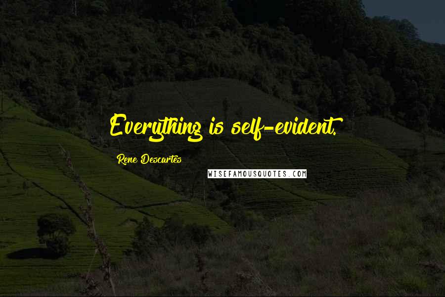 Rene Descartes Quotes: Everything is self-evident.
