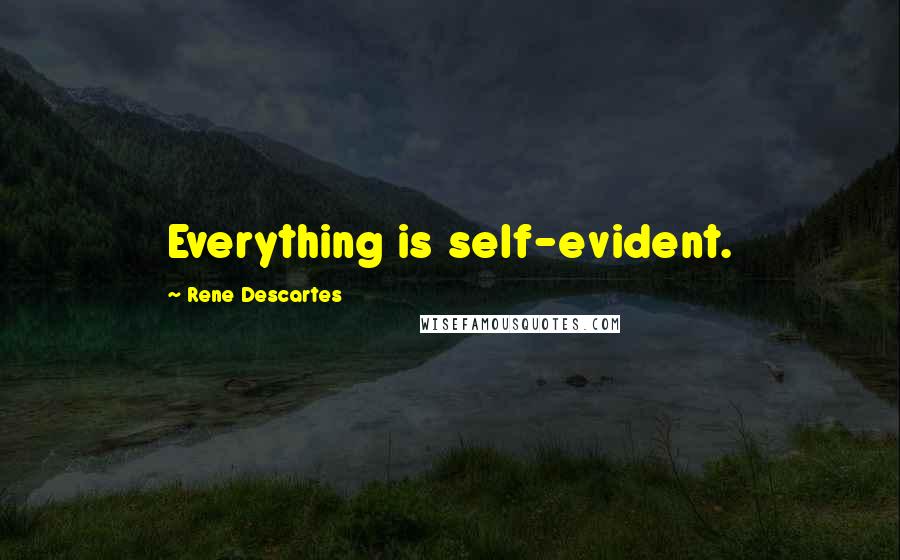 Rene Descartes Quotes: Everything is self-evident.