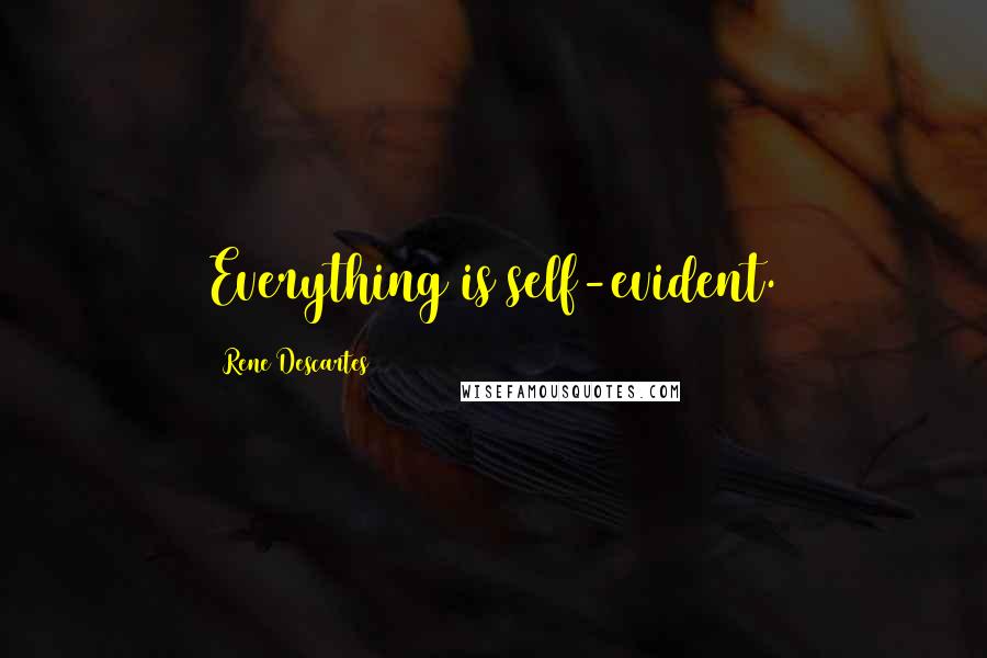 Rene Descartes Quotes: Everything is self-evident.