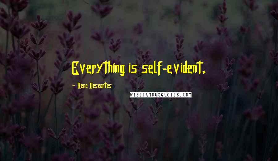 Rene Descartes Quotes: Everything is self-evident.
