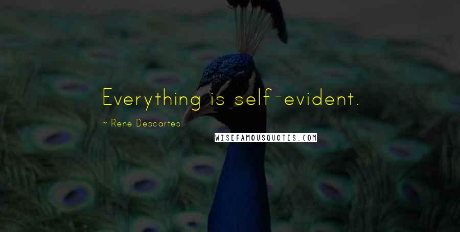 Rene Descartes Quotes: Everything is self-evident.