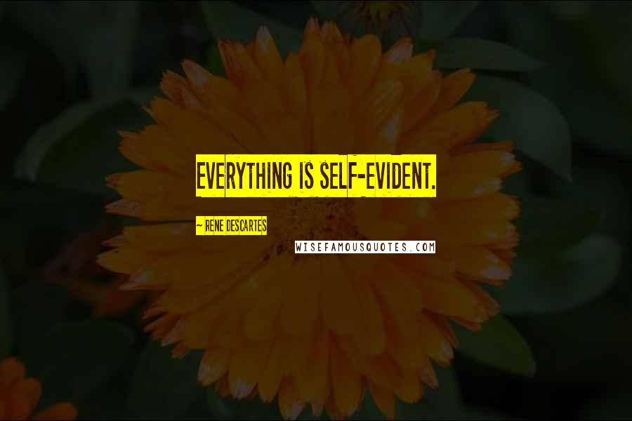Rene Descartes Quotes: Everything is self-evident.