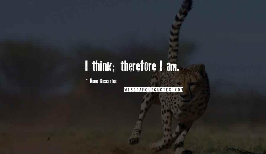 Rene Descartes Quotes: I think; therefore I am.