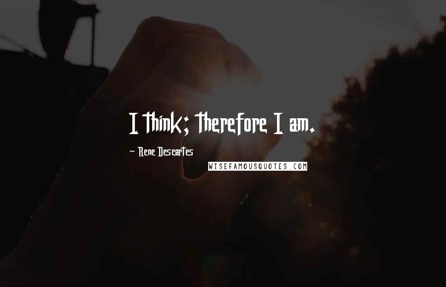 Rene Descartes Quotes: I think; therefore I am.