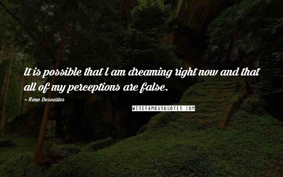 Rene Descartes Quotes: It is possible that I am dreaming right now and that all of my perceptions are false.