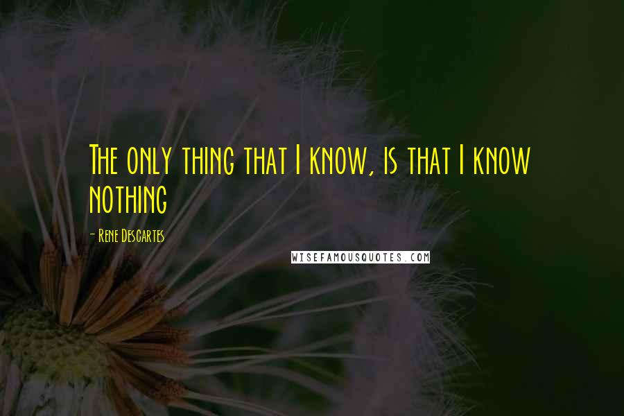 Rene Descartes Quotes: The only thing that I know, is that I know nothing