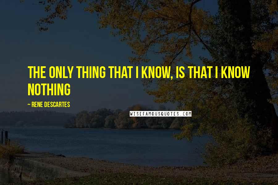 Rene Descartes Quotes: The only thing that I know, is that I know nothing