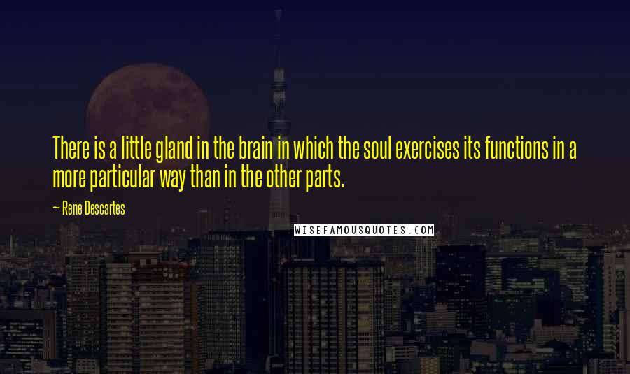 Rene Descartes Quotes: There is a little gland in the brain in which the soul exercises its functions in a more particular way than in the other parts.