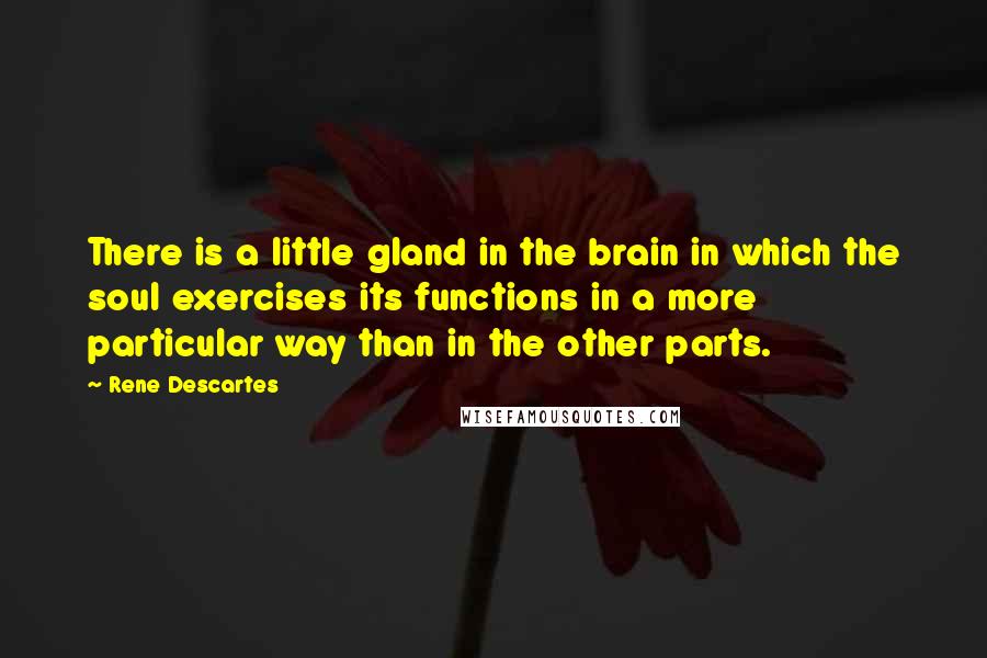 Rene Descartes Quotes: There is a little gland in the brain in which the soul exercises its functions in a more particular way than in the other parts.