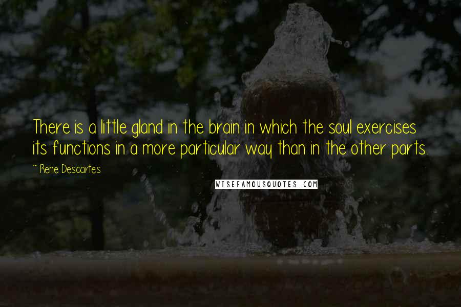 Rene Descartes Quotes: There is a little gland in the brain in which the soul exercises its functions in a more particular way than in the other parts.