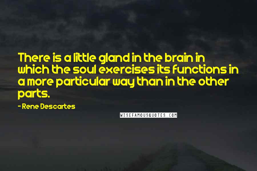 Rene Descartes Quotes: There is a little gland in the brain in which the soul exercises its functions in a more particular way than in the other parts.
