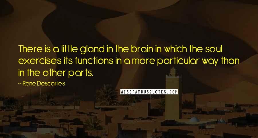 Rene Descartes Quotes: There is a little gland in the brain in which the soul exercises its functions in a more particular way than in the other parts.