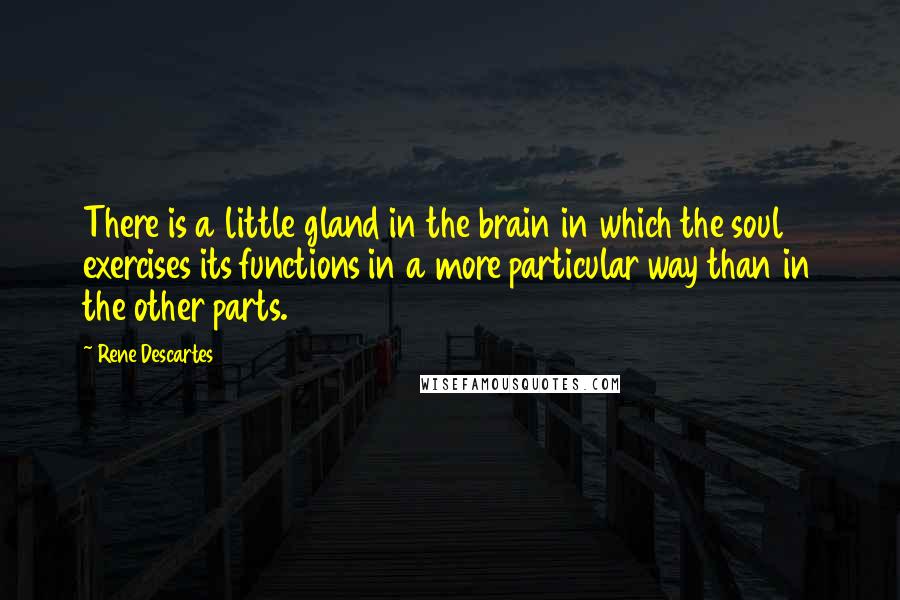 Rene Descartes Quotes: There is a little gland in the brain in which the soul exercises its functions in a more particular way than in the other parts.