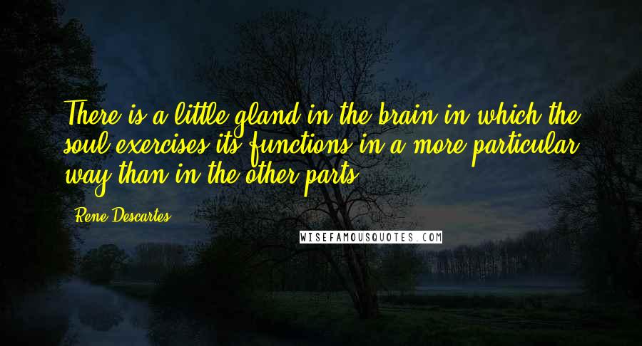 Rene Descartes Quotes: There is a little gland in the brain in which the soul exercises its functions in a more particular way than in the other parts.