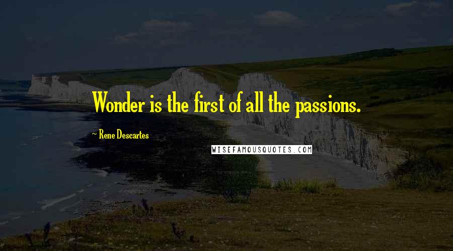 Rene Descartes Quotes: Wonder is the first of all the passions.