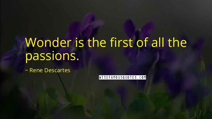 Rene Descartes Quotes: Wonder is the first of all the passions.