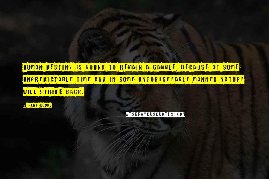 Rene Dubos Quotes: Human destiny is bound to remain a gamble, because at some unpredictable time and in some unforeseeable manner nature will strike back.