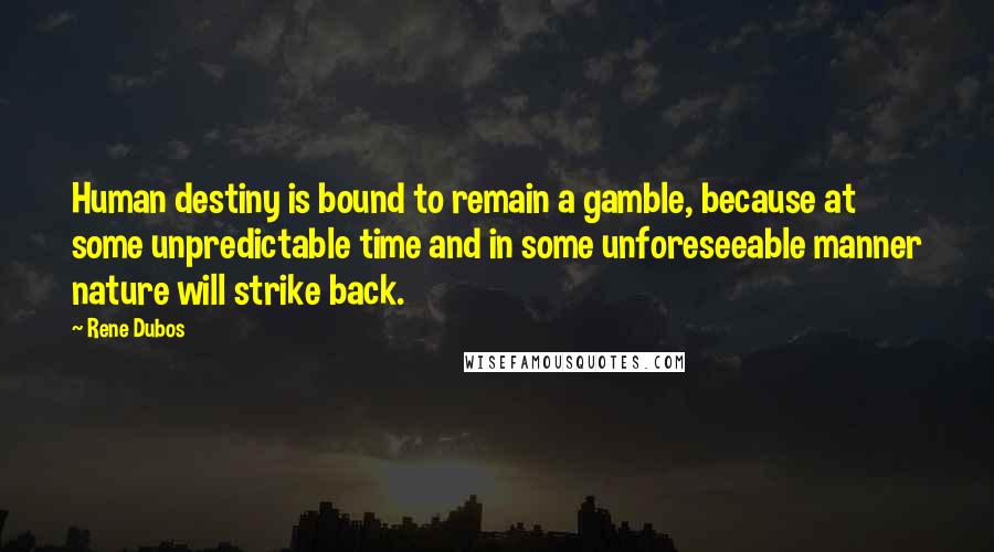 Rene Dubos Quotes: Human destiny is bound to remain a gamble, because at some unpredictable time and in some unforeseeable manner nature will strike back.