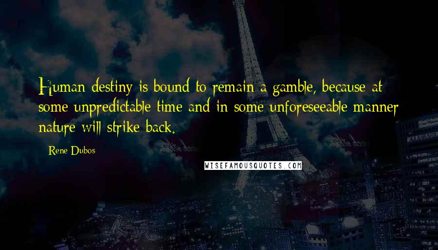 Rene Dubos Quotes: Human destiny is bound to remain a gamble, because at some unpredictable time and in some unforeseeable manner nature will strike back.