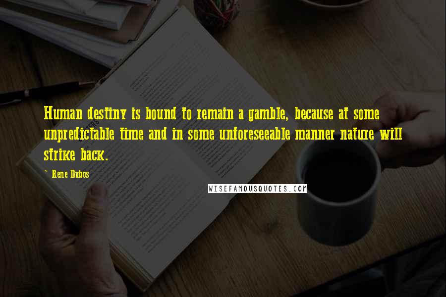 Rene Dubos Quotes: Human destiny is bound to remain a gamble, because at some unpredictable time and in some unforeseeable manner nature will strike back.