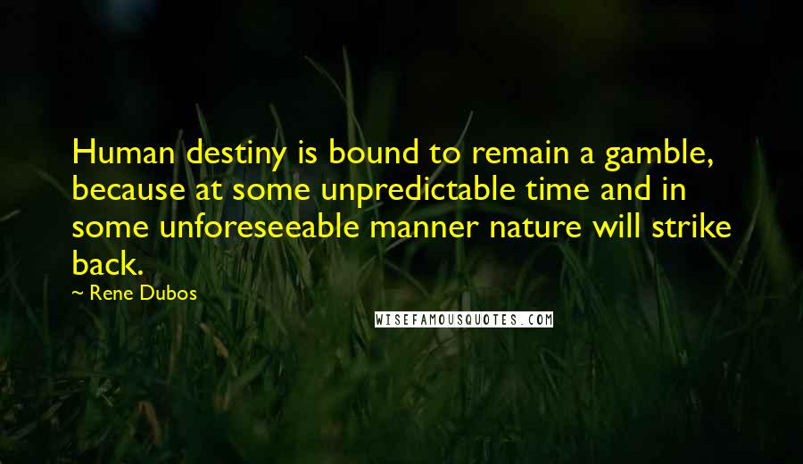 Rene Dubos Quotes: Human destiny is bound to remain a gamble, because at some unpredictable time and in some unforeseeable manner nature will strike back.