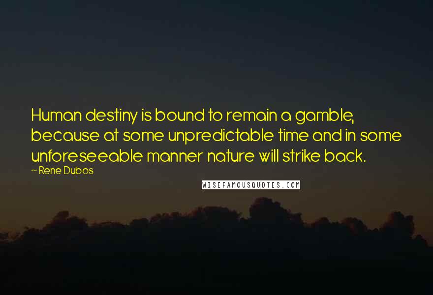 Rene Dubos Quotes: Human destiny is bound to remain a gamble, because at some unpredictable time and in some unforeseeable manner nature will strike back.