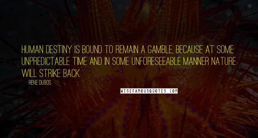 Rene Dubos Quotes: Human destiny is bound to remain a gamble, because at some unpredictable time and in some unforeseeable manner nature will strike back.