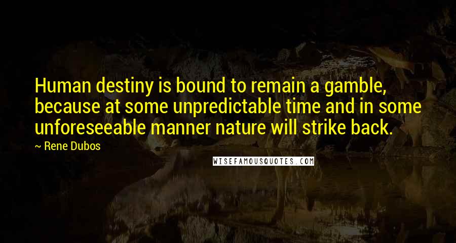 Rene Dubos Quotes: Human destiny is bound to remain a gamble, because at some unpredictable time and in some unforeseeable manner nature will strike back.