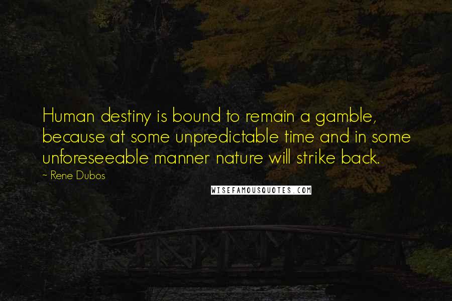 Rene Dubos Quotes: Human destiny is bound to remain a gamble, because at some unpredictable time and in some unforeseeable manner nature will strike back.