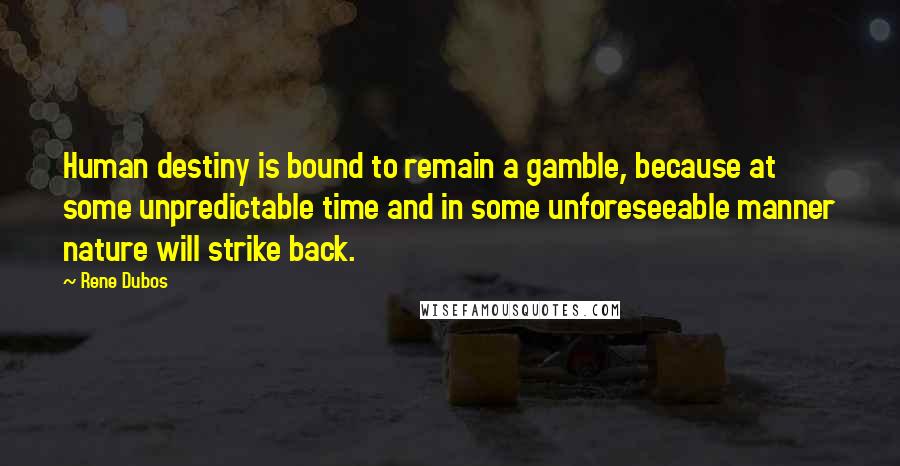 Rene Dubos Quotes: Human destiny is bound to remain a gamble, because at some unpredictable time and in some unforeseeable manner nature will strike back.