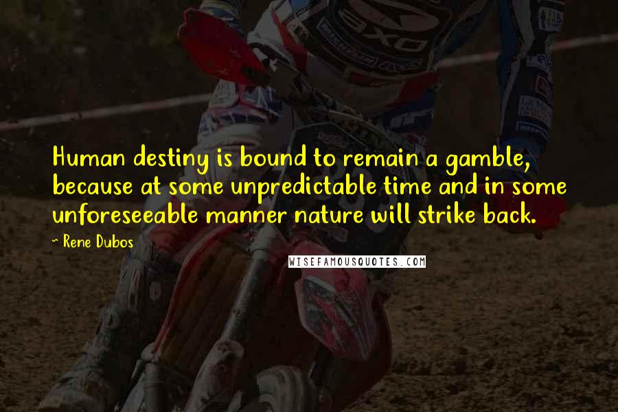 Rene Dubos Quotes: Human destiny is bound to remain a gamble, because at some unpredictable time and in some unforeseeable manner nature will strike back.