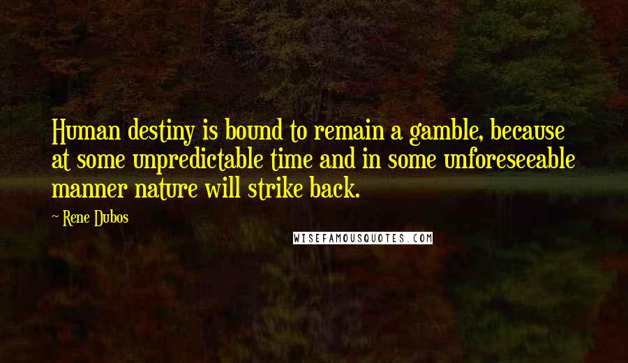 Rene Dubos Quotes: Human destiny is bound to remain a gamble, because at some unpredictable time and in some unforeseeable manner nature will strike back.