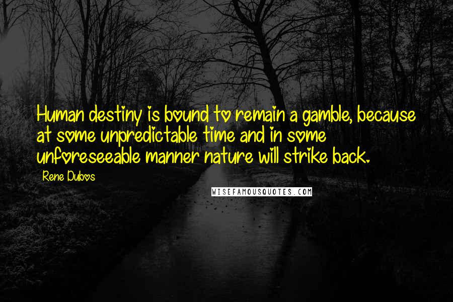 Rene Dubos Quotes: Human destiny is bound to remain a gamble, because at some unpredictable time and in some unforeseeable manner nature will strike back.