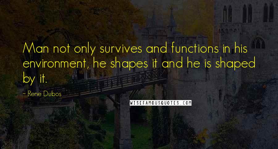 Rene Dubos Quotes: Man not only survives and functions in his environment, he shapes it and he is shaped by it.