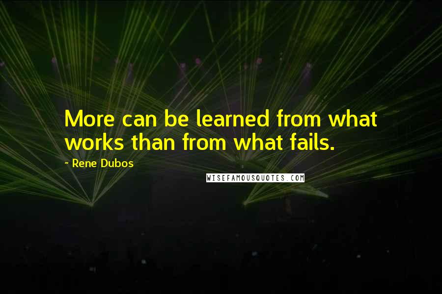 Rene Dubos Quotes: More can be learned from what works than from what fails.