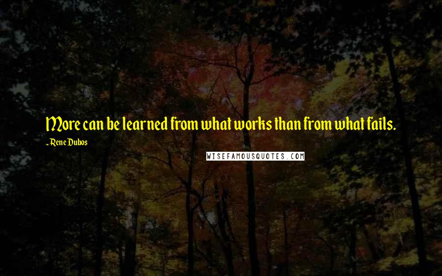 Rene Dubos Quotes: More can be learned from what works than from what fails.