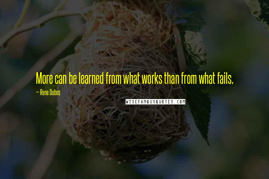 Rene Dubos Quotes: More can be learned from what works than from what fails.
