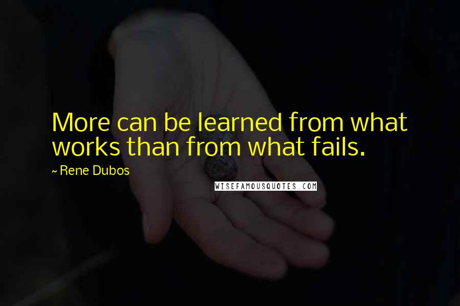 Rene Dubos Quotes: More can be learned from what works than from what fails.