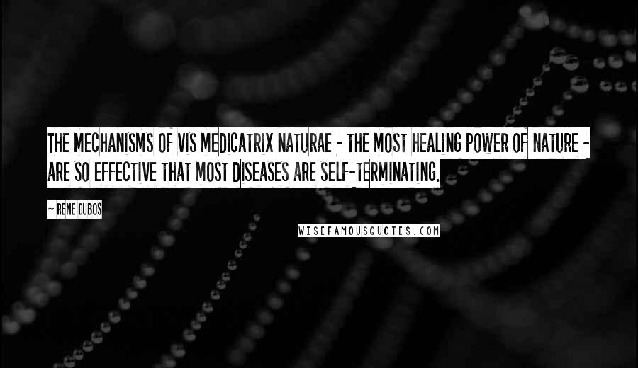 Rene Dubos Quotes: The mechanisms of vis medicatrix naturae - the most healing power of nature - are so effective that most diseases are self-terminating.