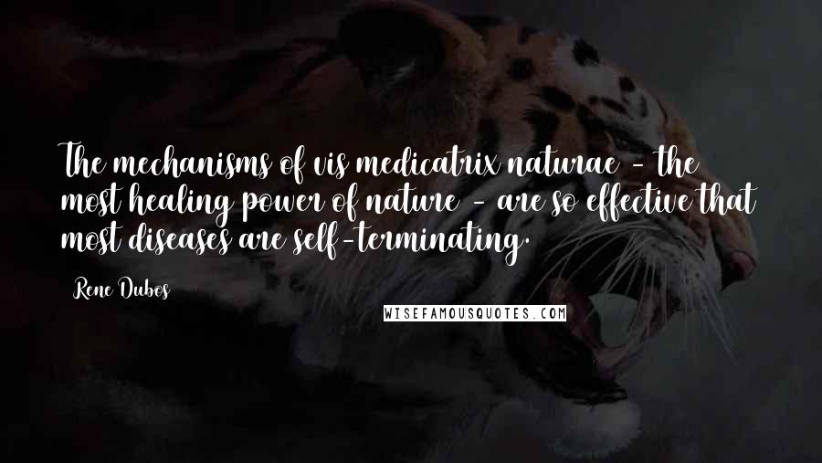 Rene Dubos Quotes: The mechanisms of vis medicatrix naturae - the most healing power of nature - are so effective that most diseases are self-terminating.