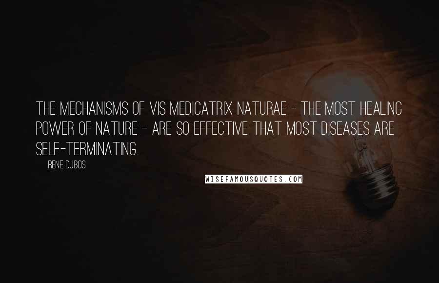 Rene Dubos Quotes: The mechanisms of vis medicatrix naturae - the most healing power of nature - are so effective that most diseases are self-terminating.