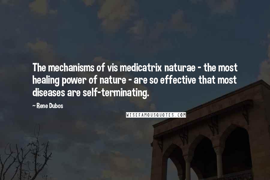 Rene Dubos Quotes: The mechanisms of vis medicatrix naturae - the most healing power of nature - are so effective that most diseases are self-terminating.